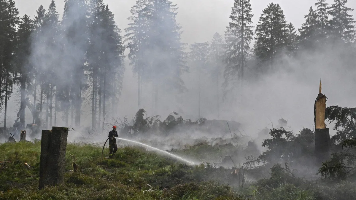 Waldbrand in Belgien weiter nicht unter Kontrolle - Hoffnung auf Regen