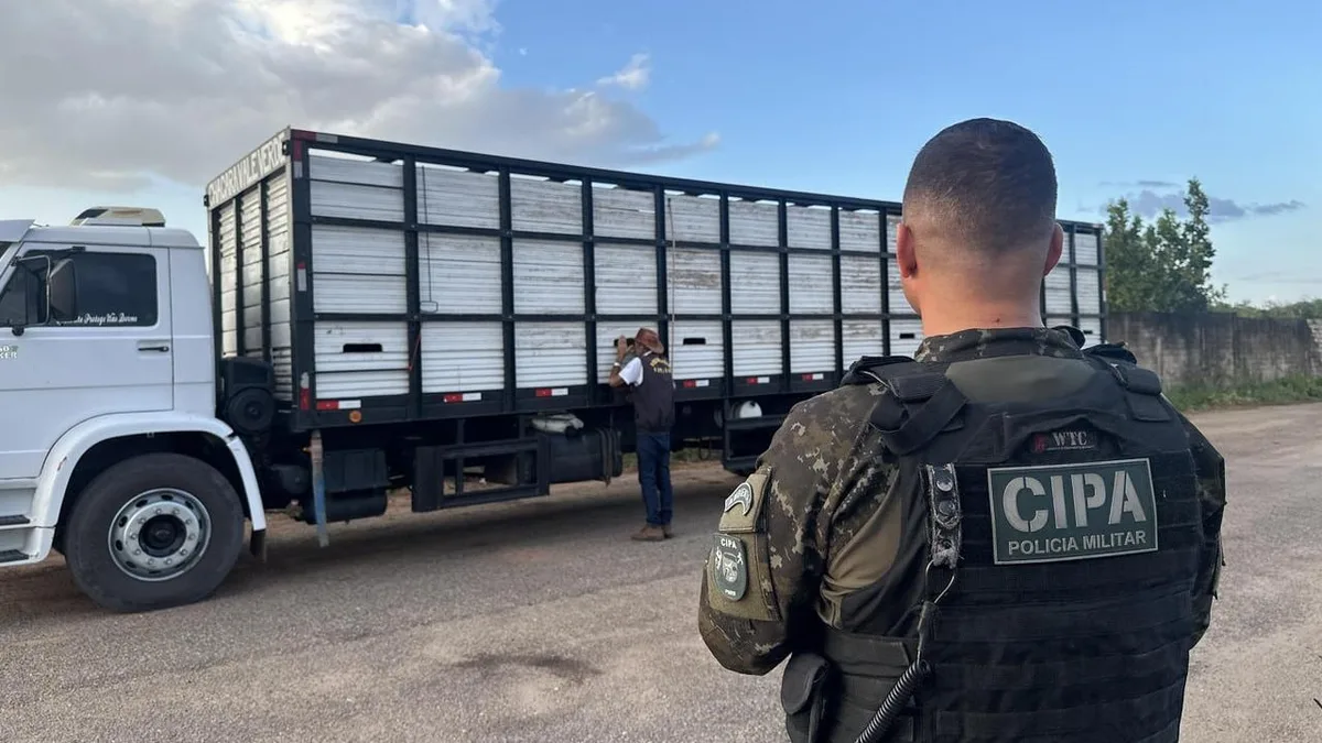 Motorista é autuado em R$ 37,5 mil após deixar 25 bois por 20 horas na BR-401