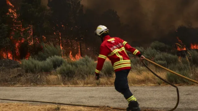 Incêndios: PJ detém suspeito de atear fogo em Ponte de Lima