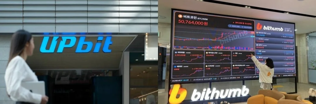 400% 상승 후 급락… 업비트·빗썸, ‘스테이블코인’도 급등락
