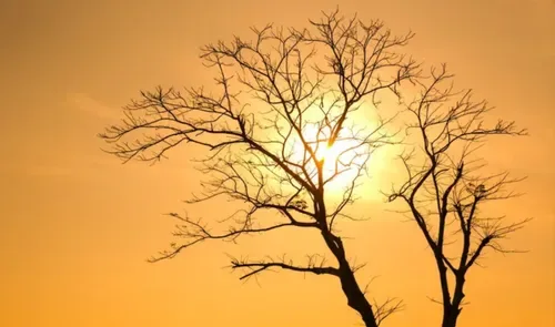 Western Cape warns of El Niño risks as summer heat, fires and water pressure loom