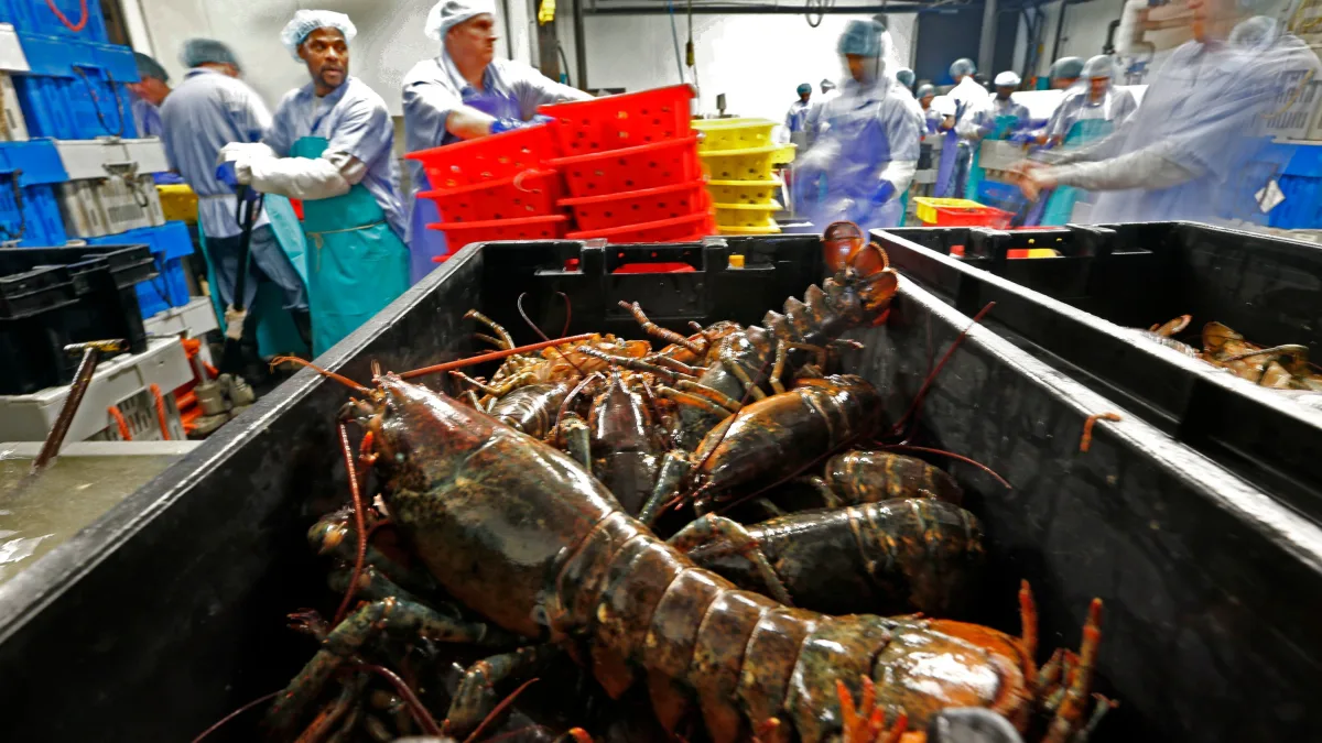 Handelsstreit: Kanada streicht Gegenzölle auf Hummer aus den USA