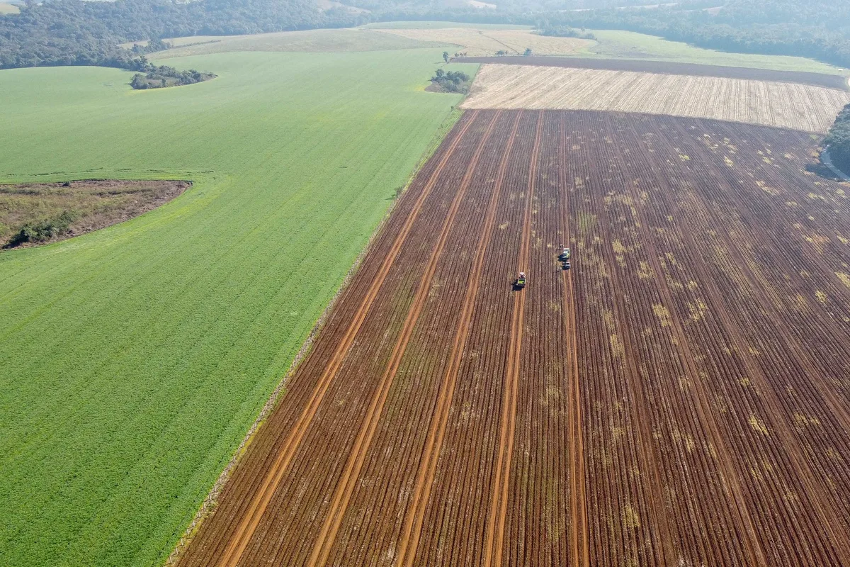 Crédito para compra de terras dispara e atrai jovens agricultores