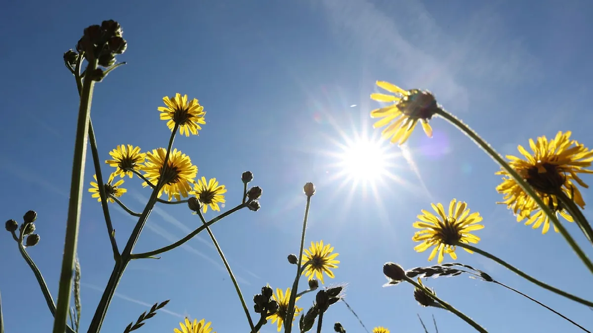Wetterphänomene - So beeinflussen El Niño und La Niña unser Wetter