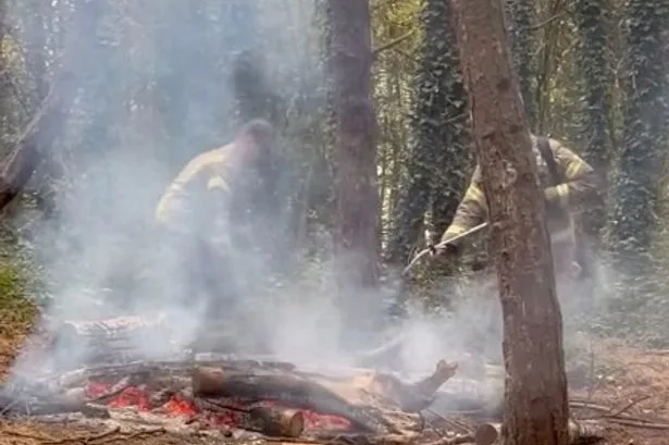 Firefighters' warning over disturbing wildfire 'social media trend' after weeks of devastation