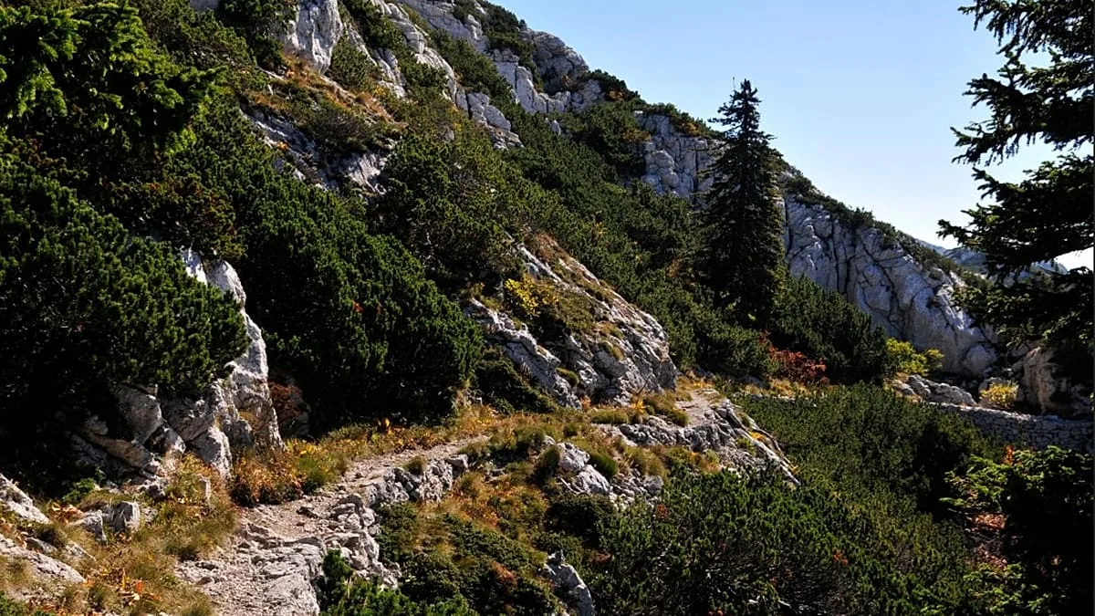 Europa: três das melhores caminhadas de outono, segundo a Lonely Planet