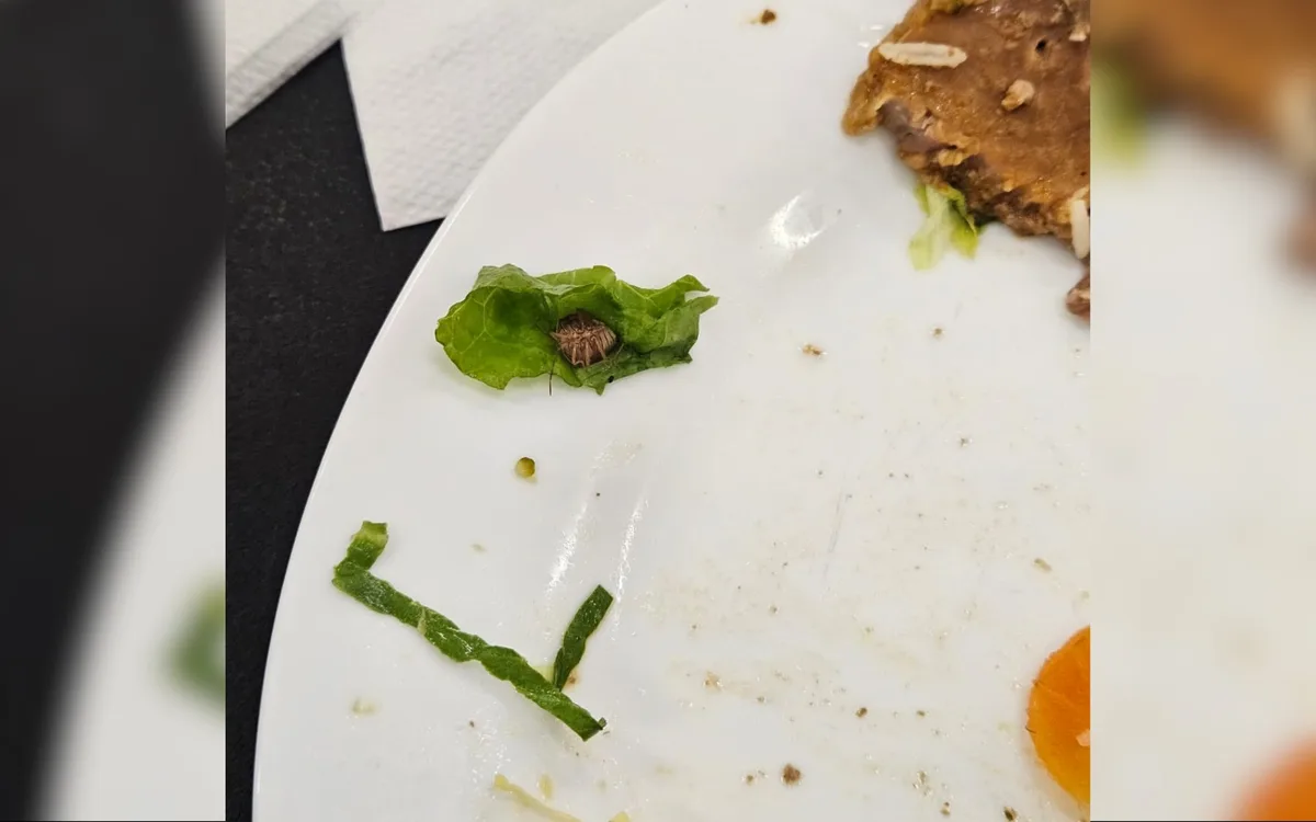 Estudantes registram insetos na comida e dentro de refeitório em universidade pública; vídeo