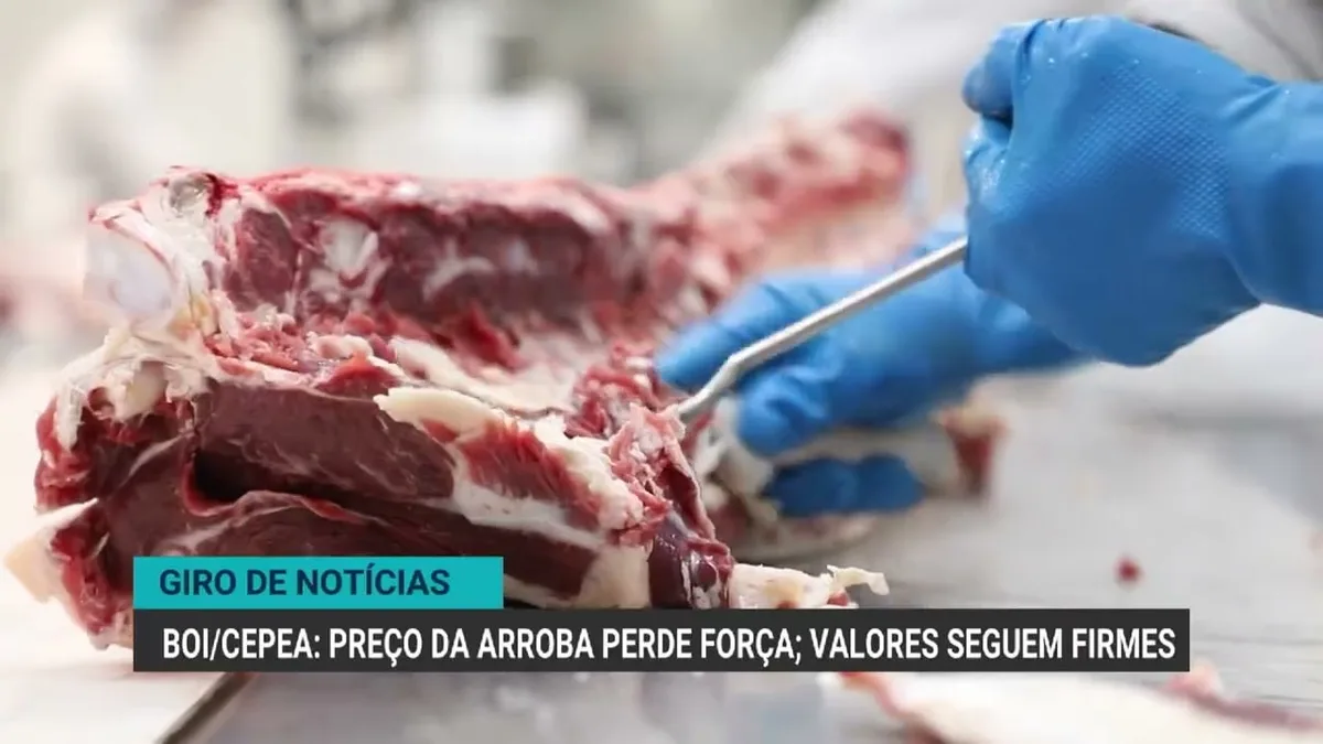 Abiove projeta aumento nas exportações de farelo de soja em 2026