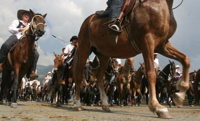 Murió un caballo en plena cabalgata en las ferias de Villanueva, Santander: esto dijo la alcaldía