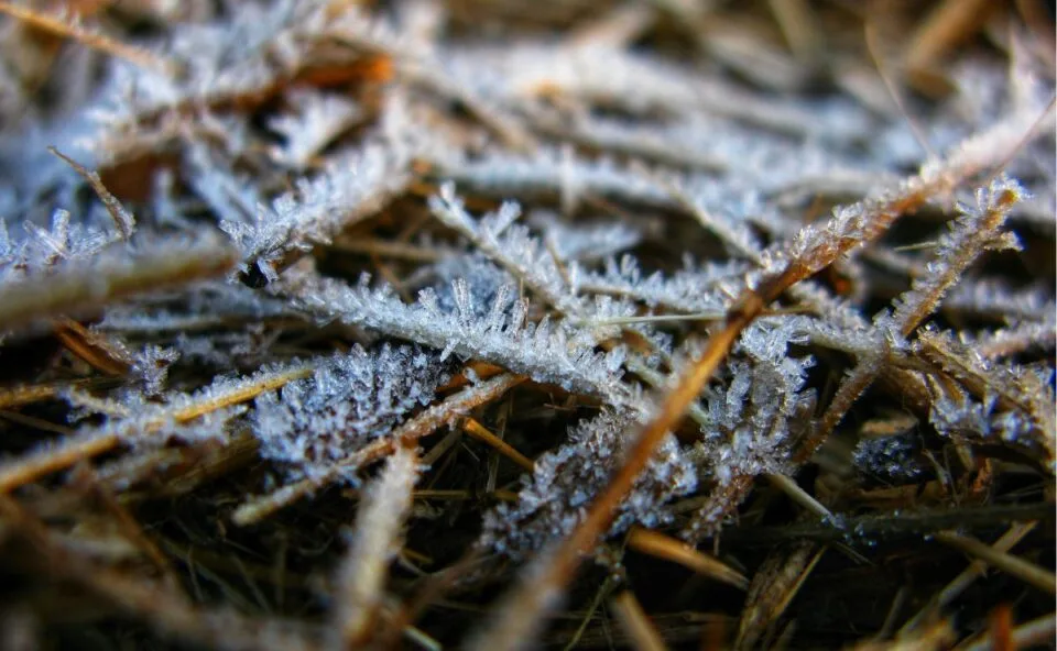Pode ter geada nesta madrugada? Simepar alerta para frio intenso no Paraná
