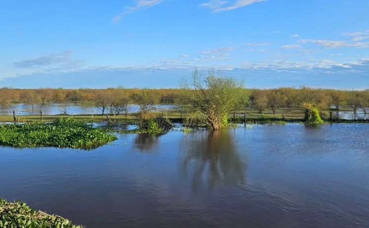 El Niño: reclaman un plan nacional para enfrentar el fenómeno climático extremo y actuar antes de las inundaciones