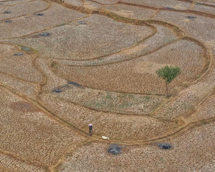 Huge El Niño projected to cause 450,000 deaths in next six months