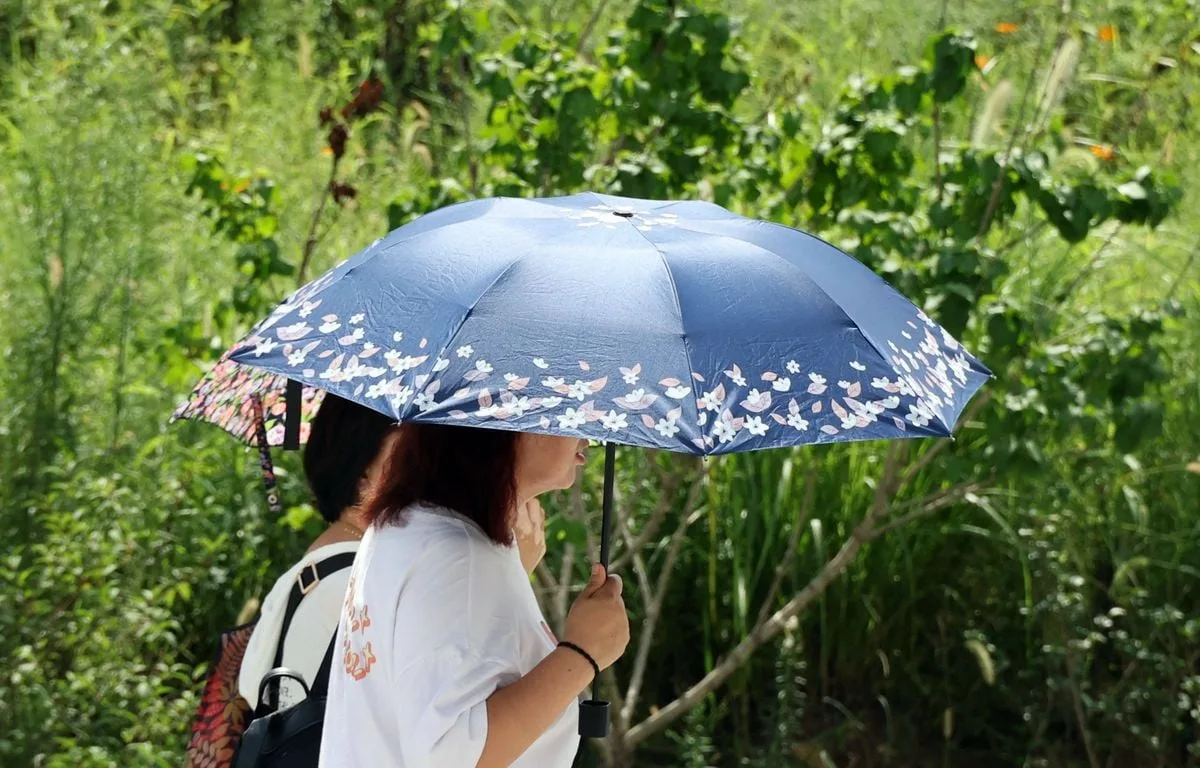 Canicule : Jusqu’à 39 °C… Six départements du sud-est encore en alerte orange