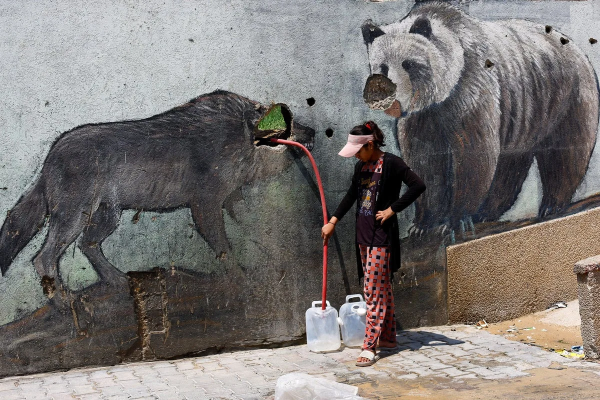 The Gaza zoo that found a way to keep going during attacks