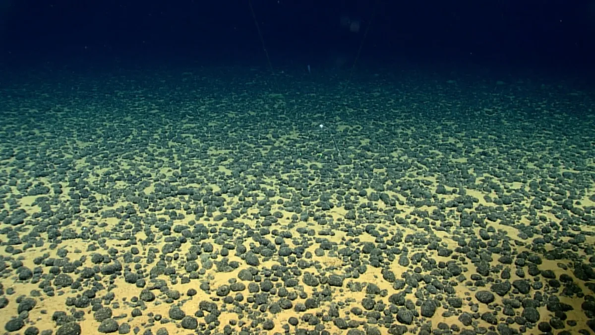 Chinese team finds 11,700 new viruses in world’s biggest seabed metal deposit