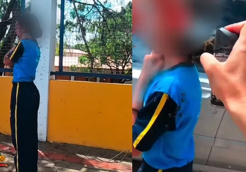 Motoboy enfrenta enxame de abelhas para salvar garota e leva 40 picadas em MG; vídeo