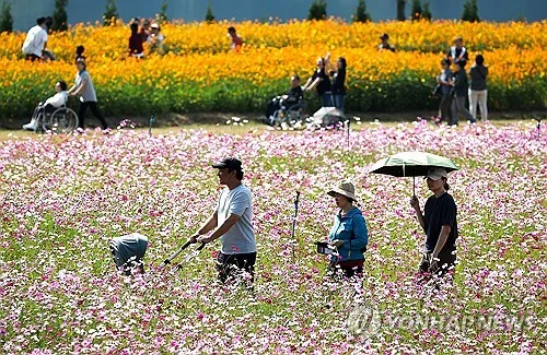 [날씨] 전국 흐리고 수도권 소나기…제주·전남에도 비