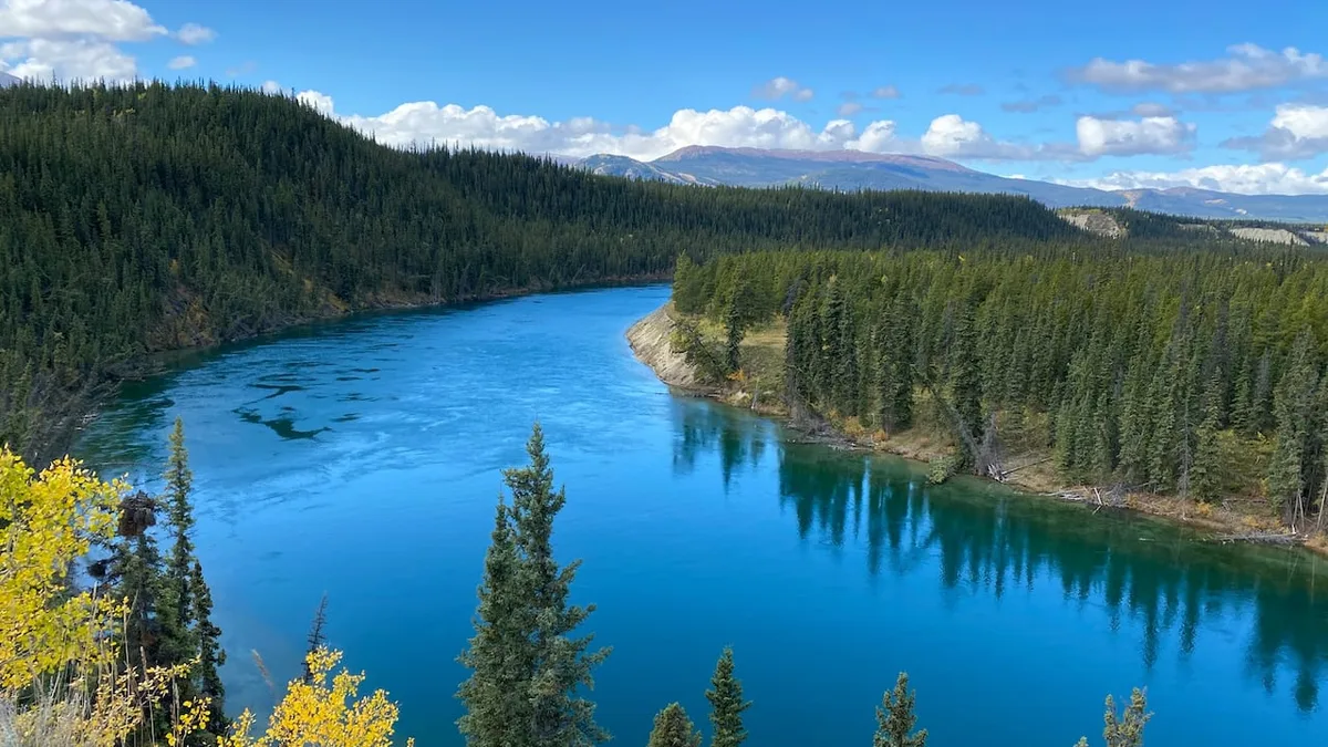 More chum salmon entering Yukon River, but experts say that’s not a clear sign of recovery