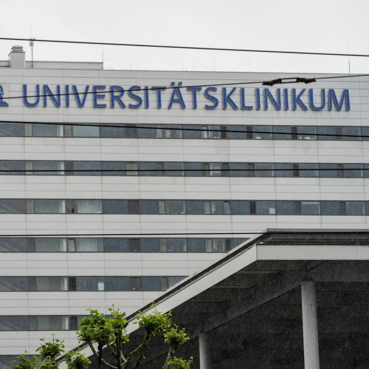 Neue Fälle nahe Flughafen - Weiterer Malaria-Patient in Frankfurt gestorben