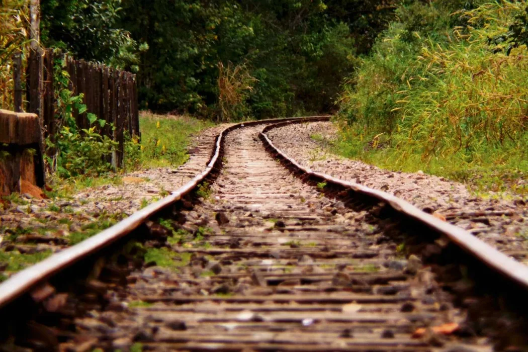 EF-118: ferrovia Vitória-Rio será leiloada em abril, prevê governo