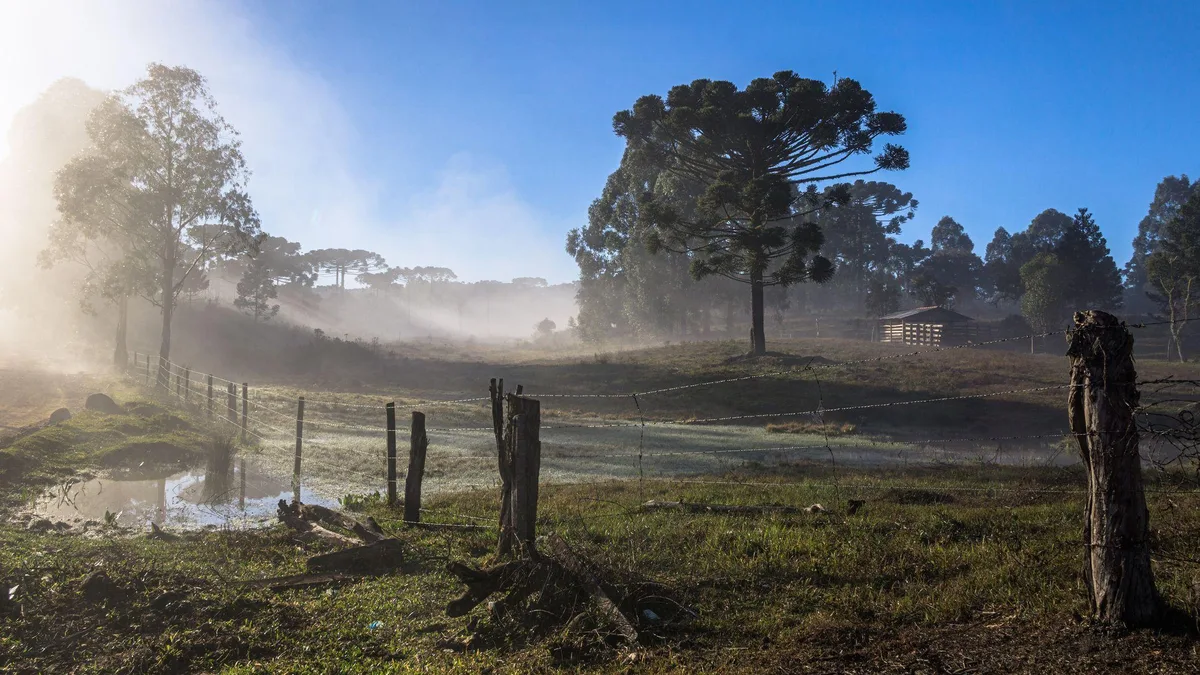 Primavera começa nesta terça: o que esperar da estação com o El Niño no Brasil