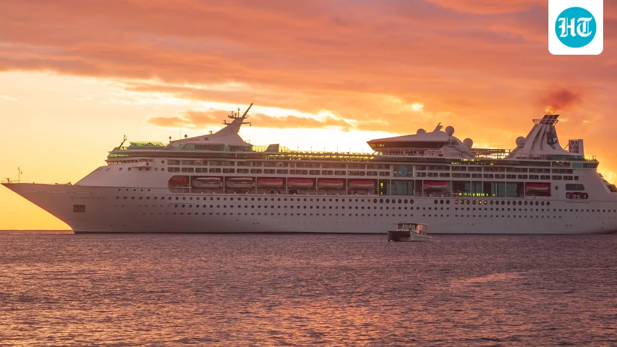 Woman found alive in sea nearly a day after going overboard from Royal Caribbean ship, dramatic rescue video goes viral | Watch