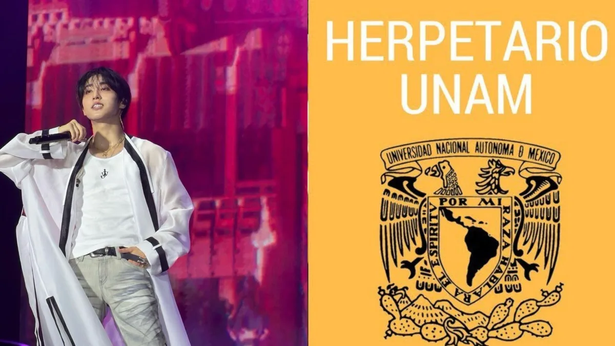 Fans mexicanas de Stray Kids hacen donativo al Herpetario de la UNAM por el cumpleaños de Han Jisung