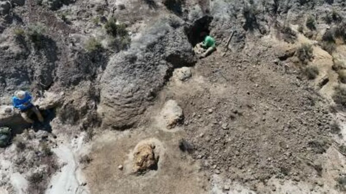 Riesiger Fußabdruck: 66,5 Millionen Jahre alte Spur eines T. Rex entdeckt