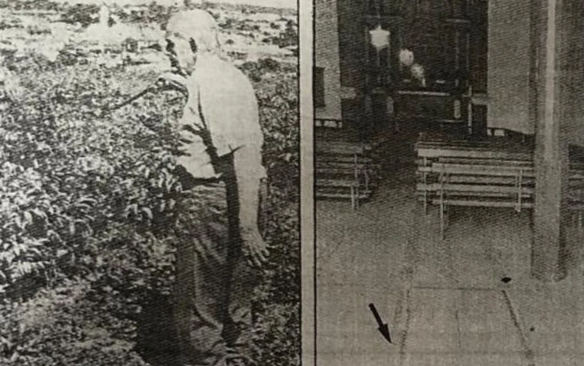 Crime e pena de morte: conheça a história do último homem livre condenado à forca no Brasil