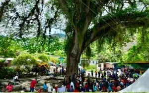 Plan Agroalimentario Comunal impulsa el cultivo de leguminosas en Comuna de Monagas