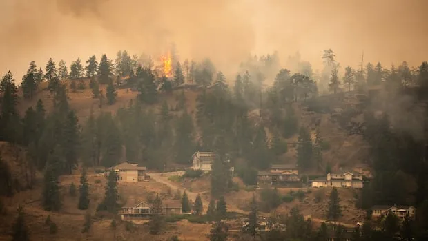 Homes across B.C. have been decimated by wildfires. Here's what to know about your insurance