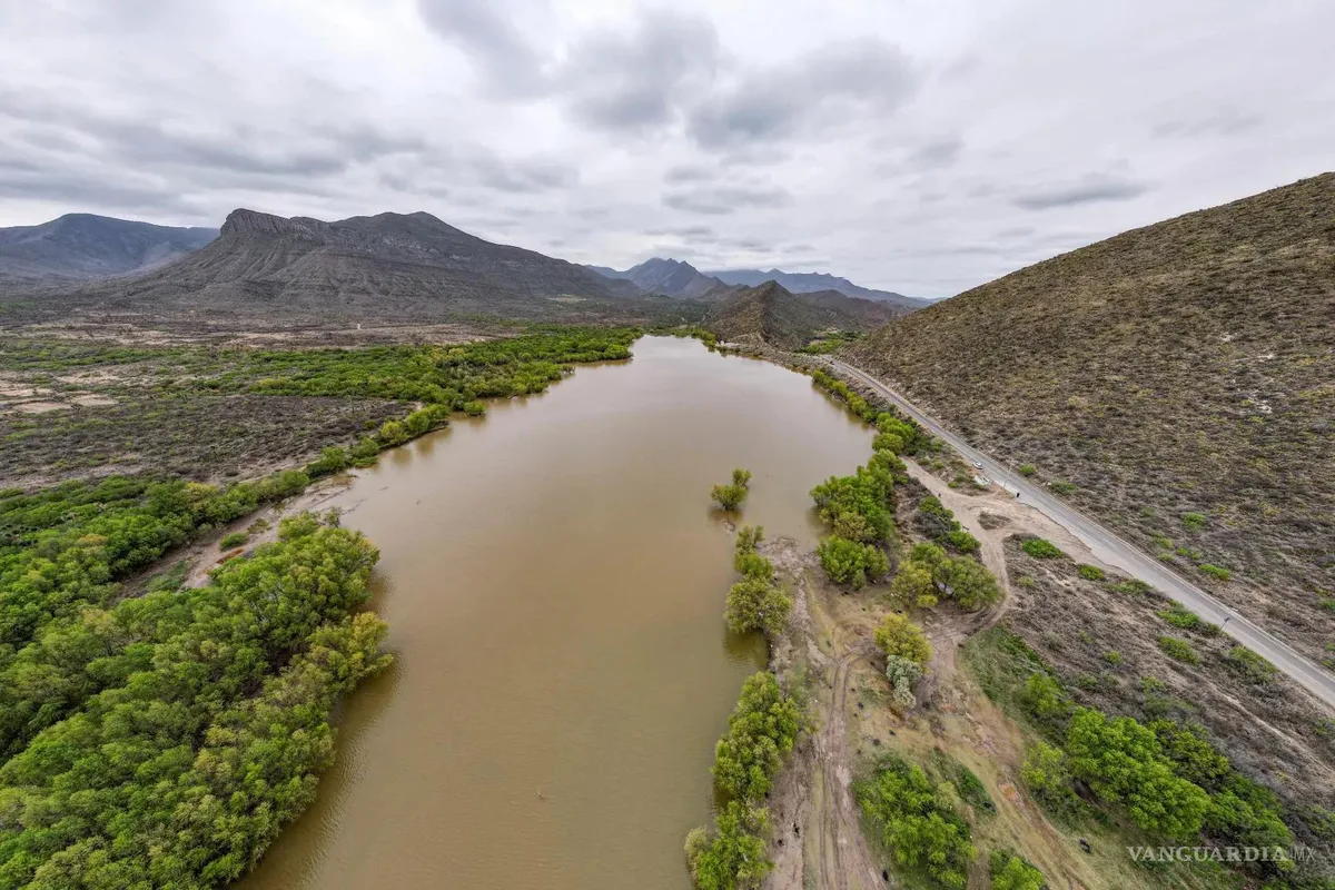 Peces sembrados en la presa Palo Blanco de Ramos Arizpe sobrevivirán a las bajas temperaturas de invierno