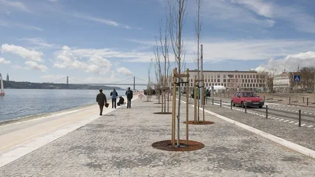 Moedas diz que alcatroamento na Ribeira das Naus é provisório
