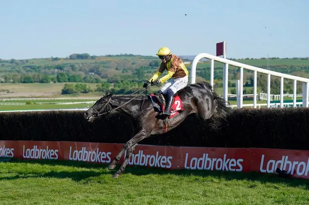 Galopin Des Champs tragedy as dual Cheltenham Gold Cup hero dies five days after retirement