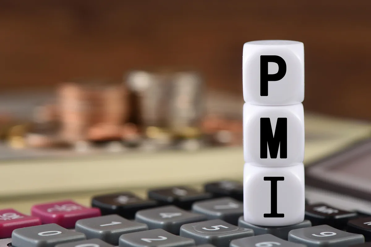 Services drive recovery in India's pvt sector activity in August: Flash PMI