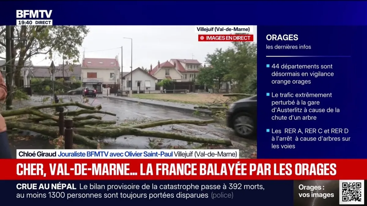 De nombreux arbres couchés sur la route à Villejuif après de très fortes intempéries