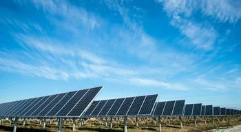 Lightsource BP abandona projeto da Mega Central Solar da Beira. Ambientalistas falam em meia vitória