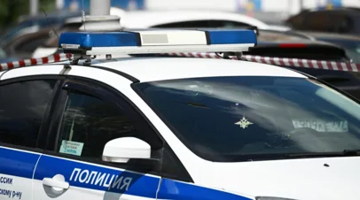 Mash: в Петербурге задержали девочку, подозреваемую в поджогах машин полиции