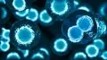 Así se 'entrena' el sistema inmune para combatir el cáncer