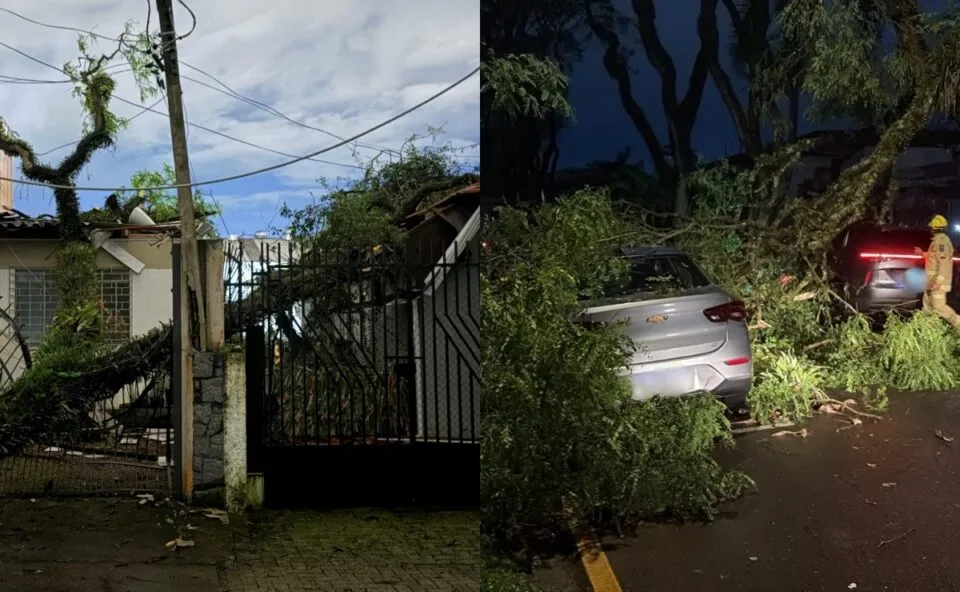 Temporal provoca queda de árvores e estragos em Curitiba: carros, casas e prédio são danificados; veja imagens