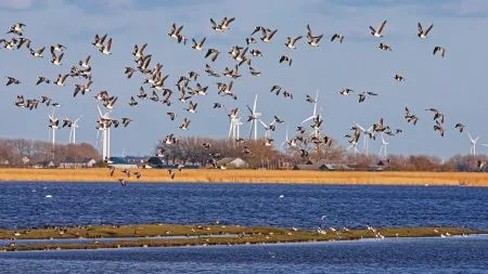 Tausende europäische Windanlagen und Solarparks offen im Internet