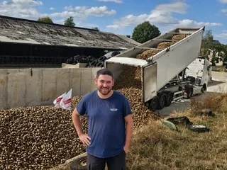 Ces pommes de terre traversent la France pour nourrir des vaches laitières : une « solution concrète » et solidaire