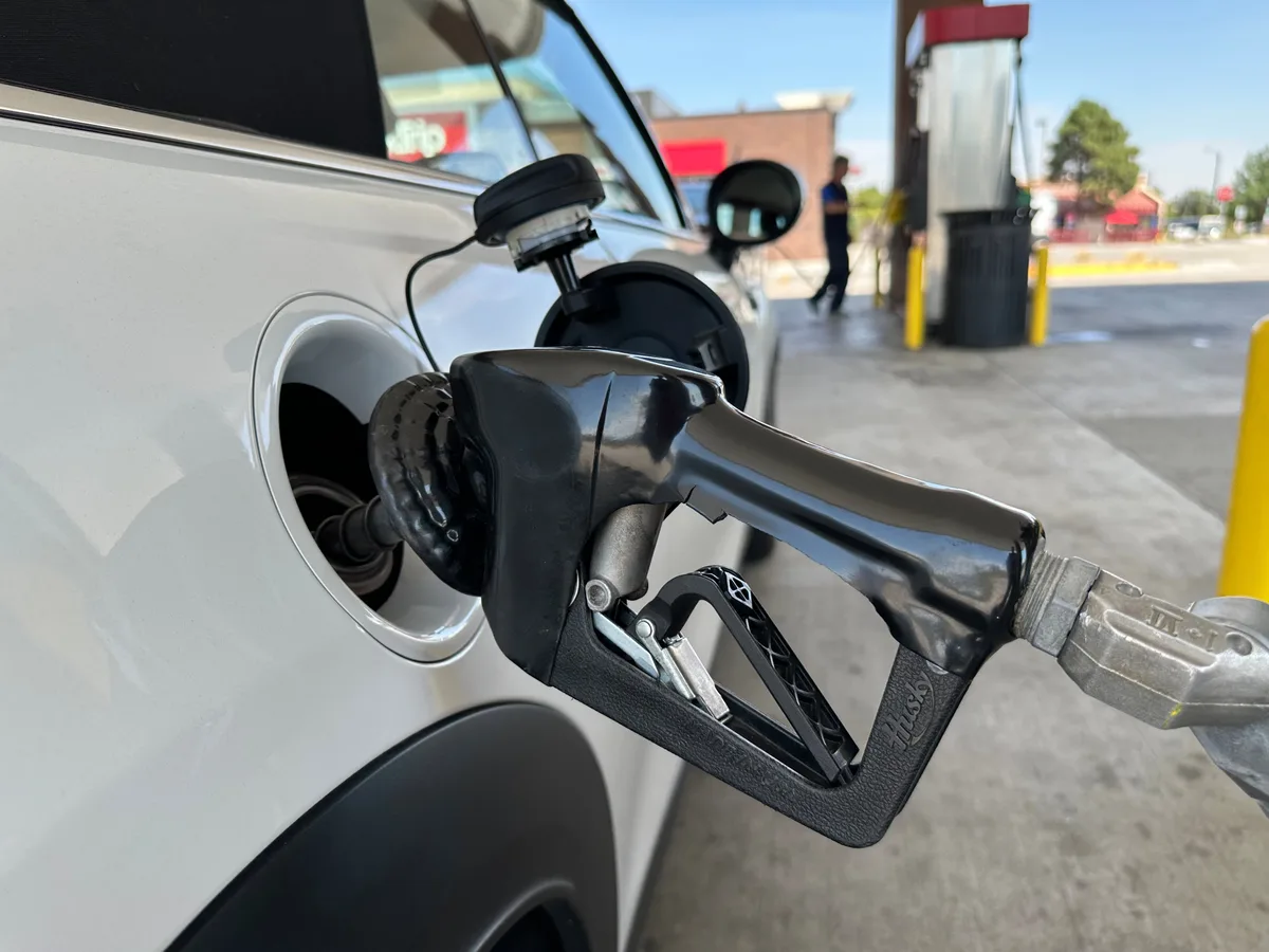 Eléctrico, híbrido o naftero: cuáles son los autos 0 km que menos gastan por kilómetro