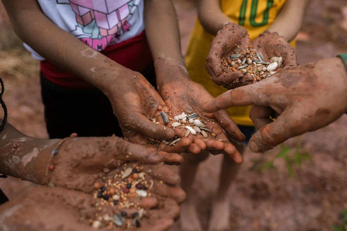 Do pacto global à minifloresta comunitária