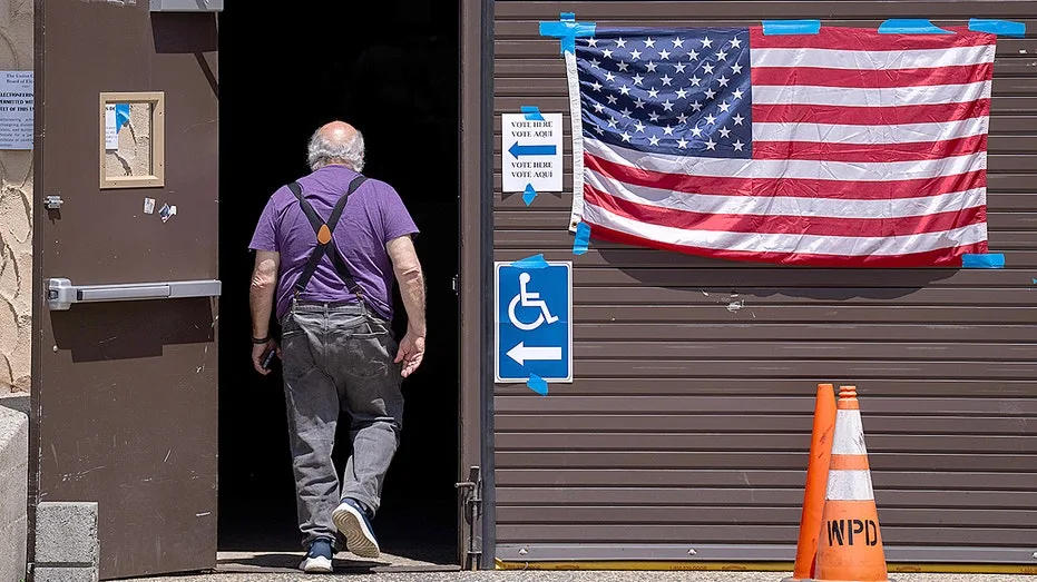 ‘Raw material for election fraud’: Expert flags voter-roll problems far beyond one state