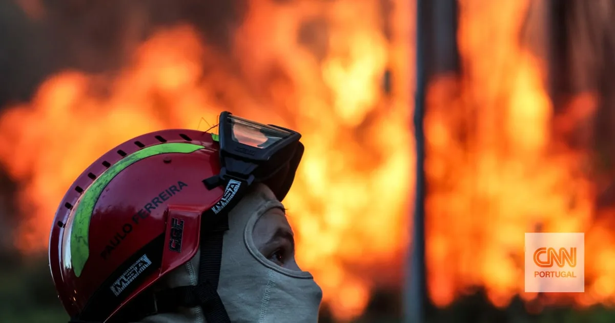 Três fogos começaram ao mesmo tempo em Coimbra e juntaram-se num só. Chamas assustam populações e ameaçam habitações