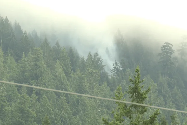 Lions Bay evacuation alert rescinded, Lone Tree Creek wildfire now being held
