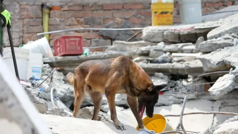 Terremoto en Colombia: 304 fallecidos y más de 29 mil viviendas afectadas