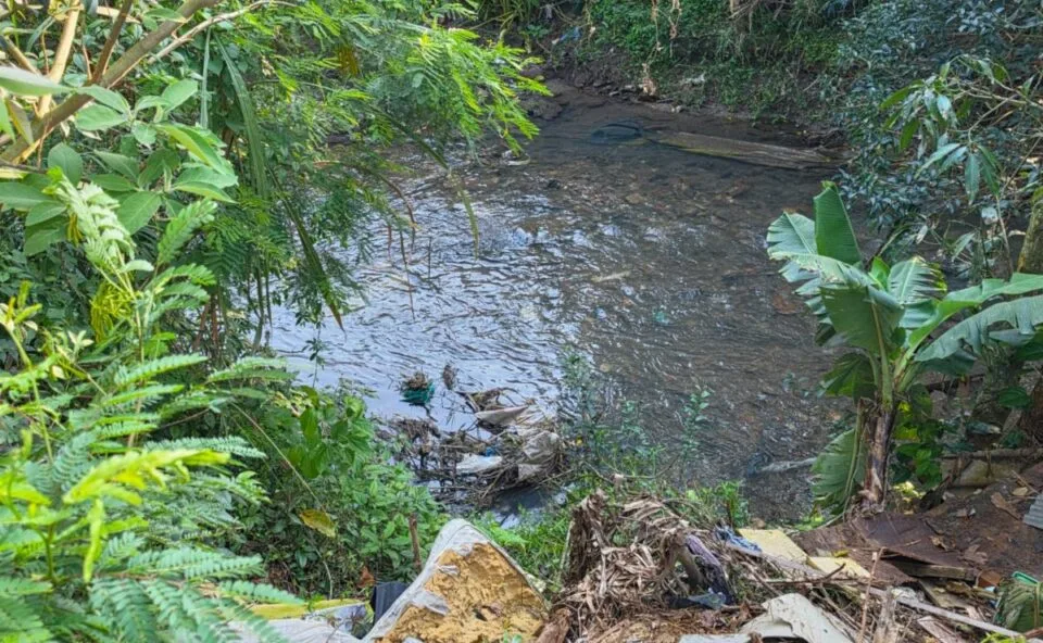 Morador encontra corpo em decomposição preso em galhos dentro de rio no Xaxim, em Curitiba