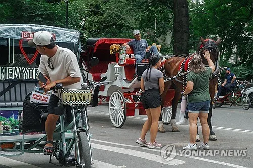 뉴욕 센트럴파크 마차, 150년 역사 뒤로…내후년부터 금지 전망